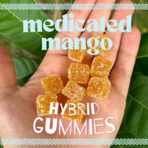 Medicated Mango Hemp Gummies 250 MG THC