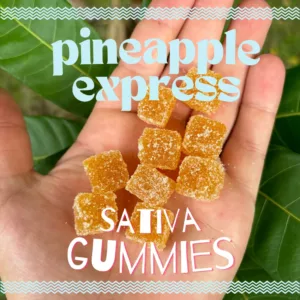 Pineapple Express Hemp Gummies 250 MG CBD