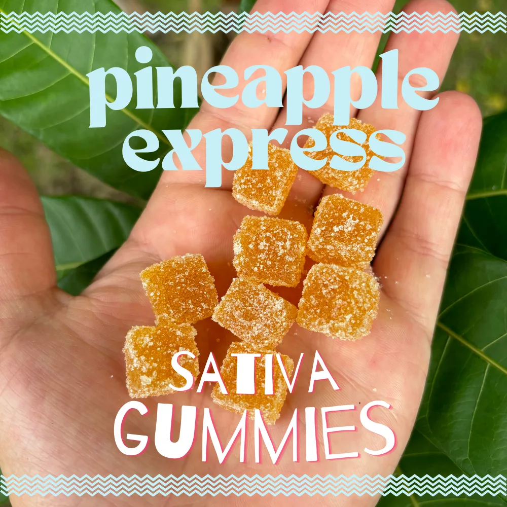 Pineapple Express Hemp Gummies 250 MG CBD